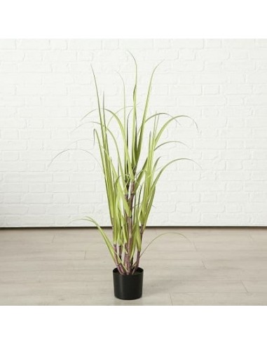 Plante artificielle en pot Jule Canne à Sucre Vert, H180 cm outlet