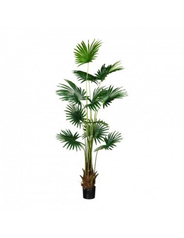 Plante artificielle en pot, Fan Palm Vert, H180 cm suggérées chez