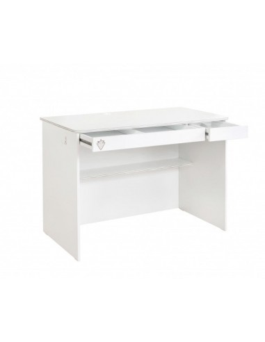 Table de bureau en bois avec 2 tiroirs pour les jeunes Blanc Small, L113xl59xH75 cm une grave pollution 